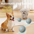 Intelligent bumpers for rolling dog balls
